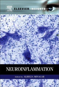 Cover Neuroinflammation (eBook, ePUB)