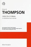 Crescita e forma. La geometria della natura
