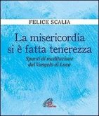 La misericordia si è fatta tenerezza. Spunti di meditazione dal Vangelo di Luca