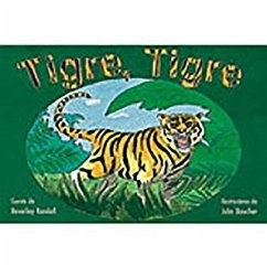 Tigre, Tigre (Tiger, Tiger): Bookroom Package (Levels 3-5) - Rigby