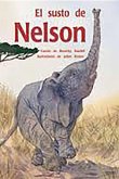 El Susto de Nelson (Nelson Gets Fright): Bookroom Package (Levels 19-20)