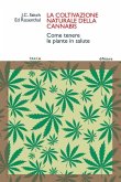 La coltivazione naturale della cannabis. Come tenere le piante in salute