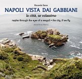 Napoli vista dai gabbiani. La città se volassimo Napoli vista dai gabbiani. La città se volassimo