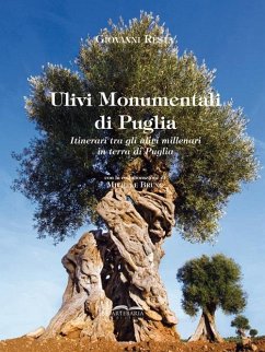 Cover Ulivi monumentali di Puglia. Itinerari tra gli ulivi millenari in terra di Puglia