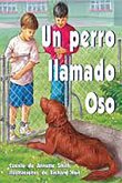 Un Perro Llamado Oso (Dog Called Bear): Bookroom Package (Levels 19-20)