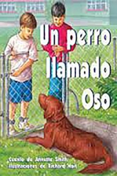 Un Perro Llamado Oso (Dog Called Bear): Bookroom Package (Levels 19-20) - Rigby