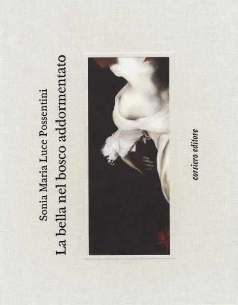 La bella nel bosco addormentato La bella nel bosco addormentato