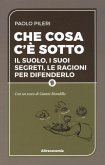 Che cosa c'è sotto. Il suolo, i suoi segreti, le ragioni per difenderlo