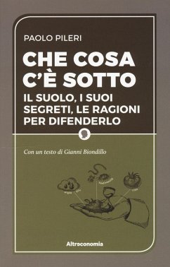 Che cosa c'è sotto. Il suolo, i suoi segreti, le ragioni per difenderlo - Pileri, Paolo; Biondillo, Gianni