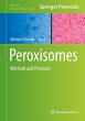 Peroxisomes - Bild 1