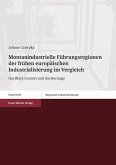 Montanindustrielle Führungsregionen der frühen europäischen Industrialisierung im Vergleich (eBook, PDF)