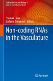 Non-coding RNAs in the Vasculature