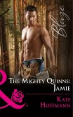 The Mighty Quinns: Jamie (Mills & Boon Blaze) (The Mighty Quinns, Book 32) (eBook, ePUB)