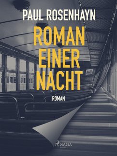 Roman einer Nacht (eBook, ePUB) - Rosenhayn, Paul