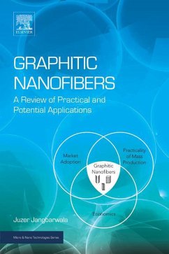 Cover Graphitic Nanofibers (eBook, ePUB)