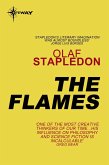 The Flames (eBook, ePUB)
