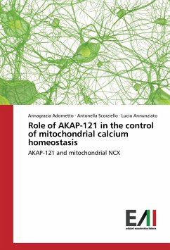 Role of AKAP-121 in the control of mitochondrial calcium homeostasis