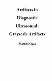 Artifacts in Diagnostic Ultrasound: Grayscale Artifacts (eBook, ePUB)