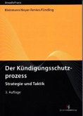 Der Kündigungsschutzprozess