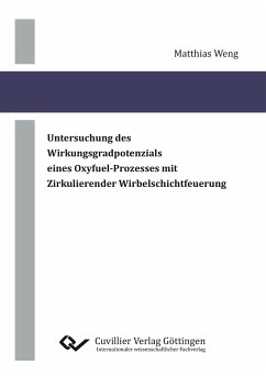 Untersuchung des Wirkungsgradpotenzials eines Oxyfuel-Prozesses mit Zirkulierender Wirbelschichtfeuerung - Weng, Matthias