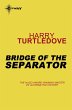 Bridge of the Separator (eBook, ePUB) - Bild 1