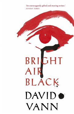Bright Air Black - Vann, David