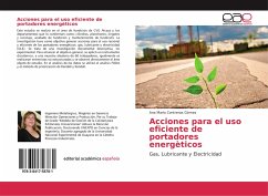 Acciones para el uso eficiente de portadores energèticos - Contreras Gòmez, Ana Marìa