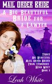 A Big Beautiful Bride for a Lawyer (Mail Order Bride) (eBook, ePUB)