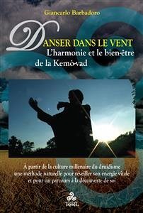 Danser dans le Vent (eBook, ePUB) - Barbadoro, Giancarlo