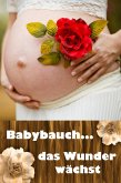 Babybauch...das Wunder wächst (eBook, ePUB)