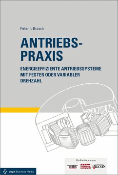 Antriebspraxis (eBook, PDF) - Brosch, Peter F