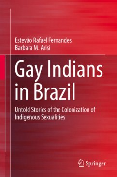 Gay Indians in Brazil - Fernandes, Estevão R.;Arisi, Barbara M.