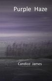 Purple Haze (eBook, ePUB)