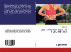 Core stabilization approach in Low back pain