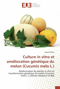 Culture in vitro et amélioration génétique du melon (Cucumis melo L.) - Rhimi, Awatef