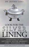 Look for the Silver Lining : Adventures in the Antique Silver Market...April - November, 2016 (eBook, ePUB)