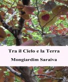 Tra il Cielo e la Terra (eBook, ePUB)