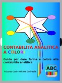 Contabilità analitica a colori (eBook, ePUB)