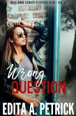 Wrong Question (Bree-Anne Carver Suspense Blog Book 1) (eBook, ePUB)