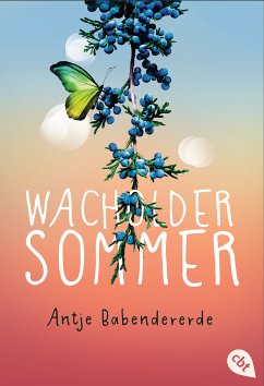 Wacholdersommer (eBook, ePUB) - Babendererde, Antje