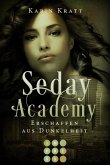 Erschaffen aus Dunkelheit / Seday Academy Bd.3 (eBook, ePUB)