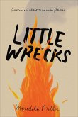 Little Wrecks (eBook, ePUB)