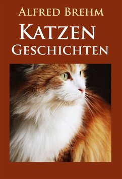Katzengeschichten (eBook, ePUB) - Brehm, Alfred