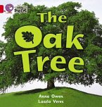 The Oak Tree Workbook