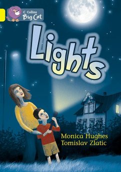 Lights Workbook - Hughes, Monica; Zlatic, Tomislav