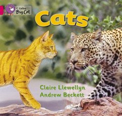 Cats Workbook - Llewellyn, Claire