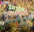 In the Forest Workbook
