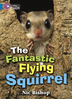 The Fantastic Flying Squirrel Workbook - Bishop, Nic