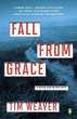 Fall from Grace - Bild 1