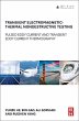 Transient Electromagnetic-Thermal... - Bild 1